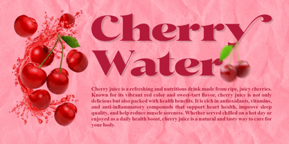 Barselo Font Poster 7