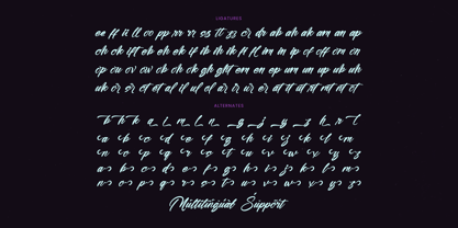 Humble Blash Font Poster 15