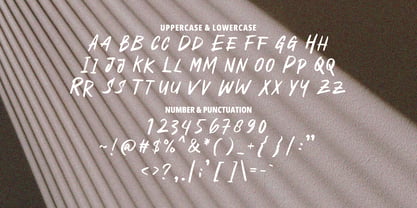 Dustine Brush Font Poster 9