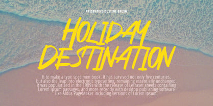 Dustine Brush Font Poster 8