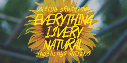 Dustine Brush Font Poster 3