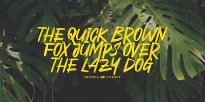 Dustine Brush Font Poster 4
