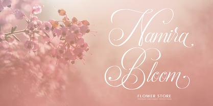 Palmeira Benvello Font Poster 2