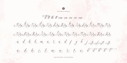 Palmeira Benvello Font Poster 12