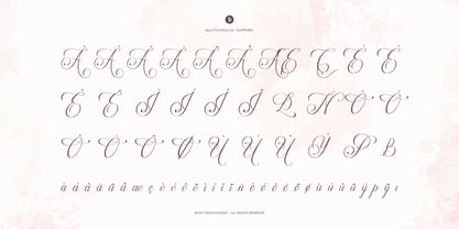 Palmeira Benvello Font Poster 11