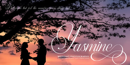 Palmeira Benvello Font Poster 5