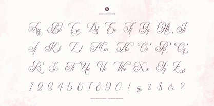Palmeira Benvello Font Poster 10