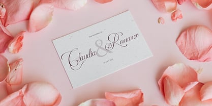 Palmeira Benvello Font Poster 4