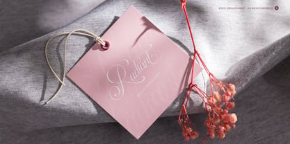 Palmeira Benvello Font Poster 9