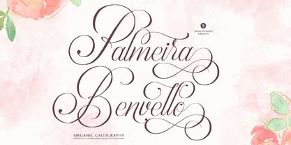 Palmeira Benvello Font Poster 1