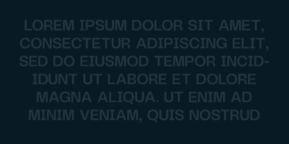 Borckon Font Poster 8