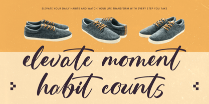 Skayhan Chester Font Poster 14