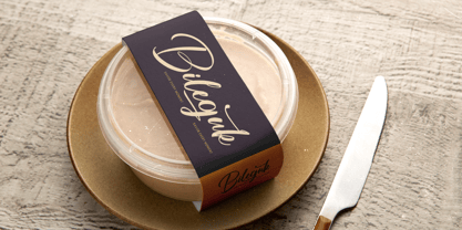 Skayhan Chester Font Poster 6