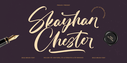 Skayhan Chester Font Poster 1