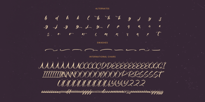 Skayhan Chester Font Poster 15