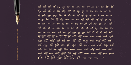 Skayhan Chester Font Poster 13