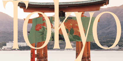 Garugis Font Poster 10