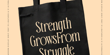 Garugis Font Poster 12