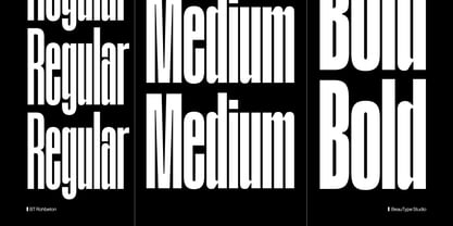 BT Rohbeton Font Poster 14