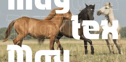 Maytex Font Poster 9