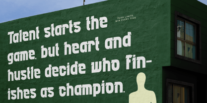 Maytex Font Poster 13