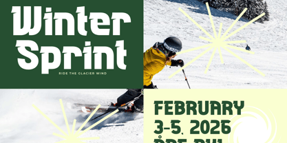 Maytex Font Poster 6