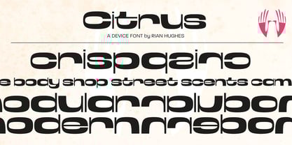 Citrus Font Poster 4