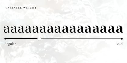 Lina Serif Font Poster 3