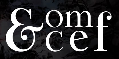 Lina Serif Font Poster 11