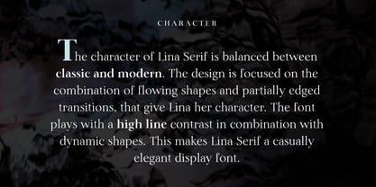 Lina Serif Font Poster 7