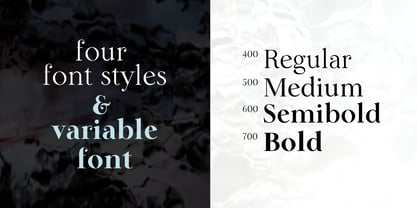 Lina Serif Font Poster 2