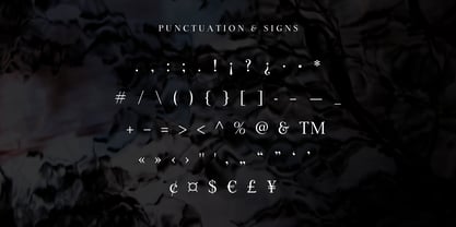 Lina Serif Font Poster 12