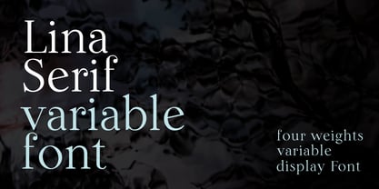 Lina Serif Font Poster 1