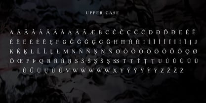 Lina Serif Font Poster 8