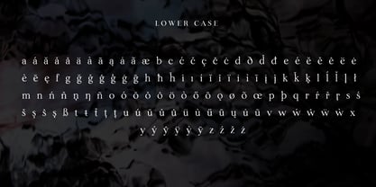 Lina Serif Font Poster 10