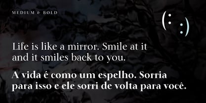 Lina Serif Font Poster 4