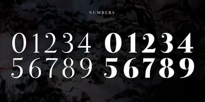 Lina Serif Font Poster 9