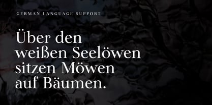 Lina Serif Font Poster 6