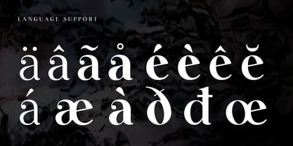 Lina Serif Font Poster 5