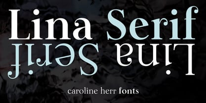 Lina Serif Font Poster 13