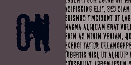 Degradation Font Poster 7