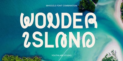 Whoozle Font Poster 7