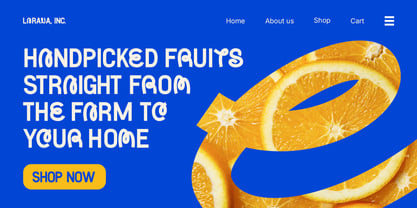 Whoozle Font Poster 2