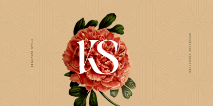 Faroks Font Poster 9