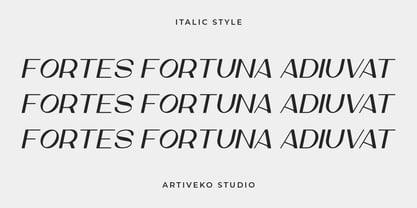 Elochia Font Poster 10