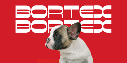 Bortex Display Font Poster 1