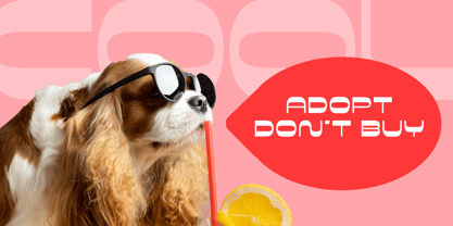 Bortex Display Font Poster 7