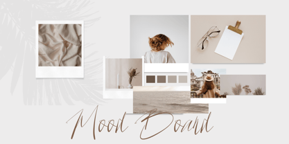 Spil Yours Font Poster 7