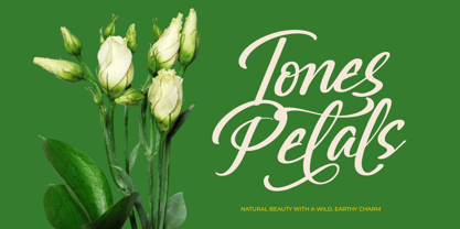 Greatesa Brought Font Poster 9