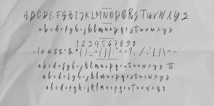 Pakody Signature Font Poster 8